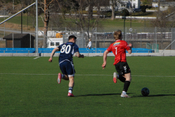 Varfjell - Skåla/Langfjorden 2026